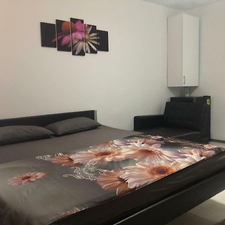 Garsoniera Aleea Trandafirilor Apartment Baile Herculane Luaran gambar