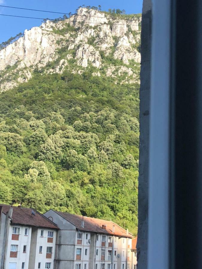 Garsoniera Aleea Trandafirilor Apartment Baile Herculane Luaran gambar