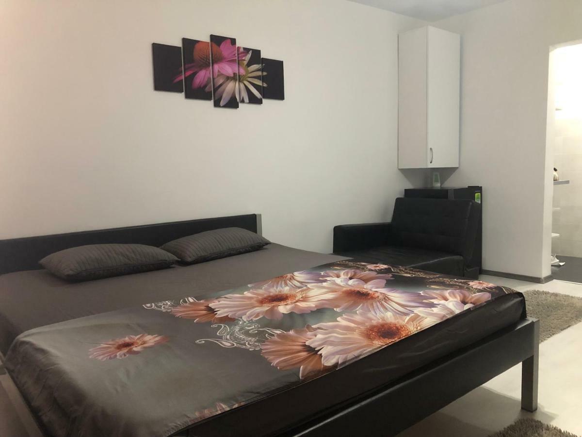 Garsoniera Aleea Trandafirilor Apartment Baile Herculane Luaran gambar