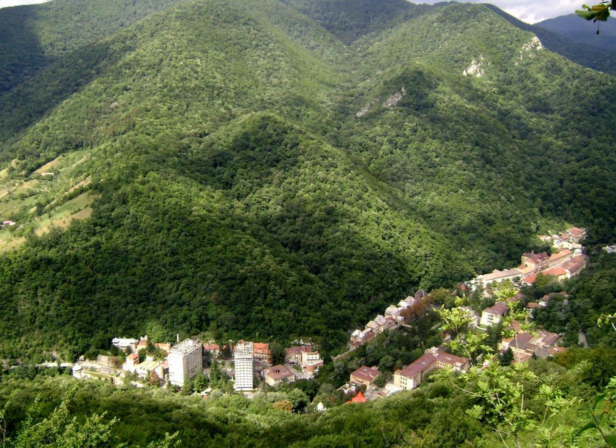 Garsoniera Aleea Trandafirilor Apartment Baile Herculane Luaran gambar